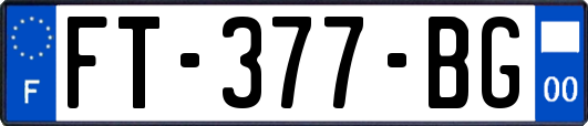 FT-377-BG