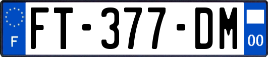 FT-377-DM