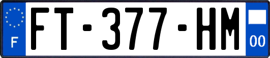 FT-377-HM