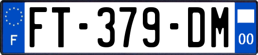 FT-379-DM