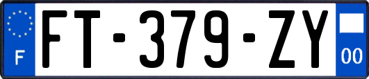 FT-379-ZY