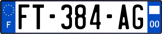 FT-384-AG