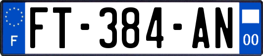 FT-384-AN