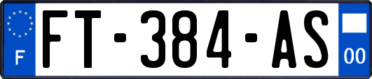 FT-384-AS