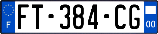 FT-384-CG