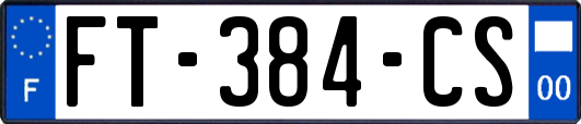 FT-384-CS