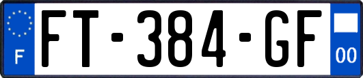 FT-384-GF