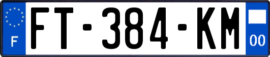 FT-384-KM