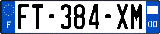 FT-384-XM