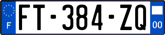 FT-384-ZQ