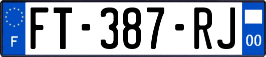 FT-387-RJ