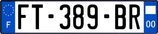 FT-389-BR