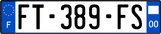 FT-389-FS