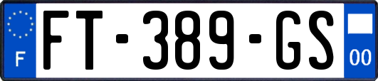 FT-389-GS