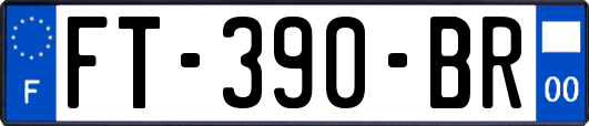 FT-390-BR