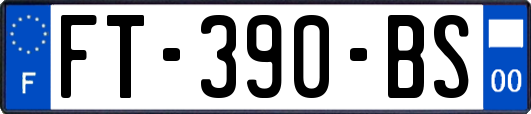 FT-390-BS