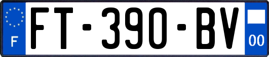 FT-390-BV