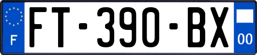 FT-390-BX