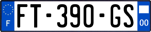 FT-390-GS