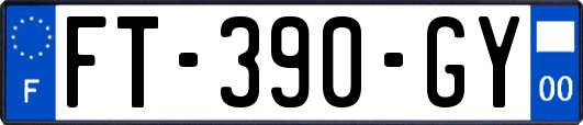 FT-390-GY