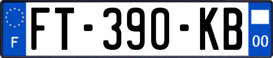 FT-390-KB