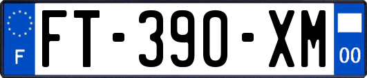 FT-390-XM