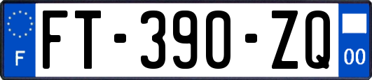 FT-390-ZQ