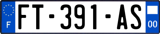 FT-391-AS