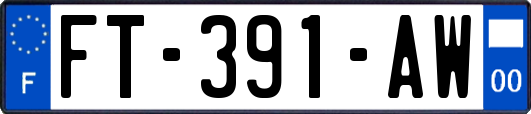 FT-391-AW