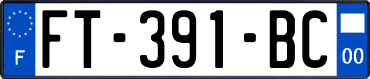 FT-391-BC