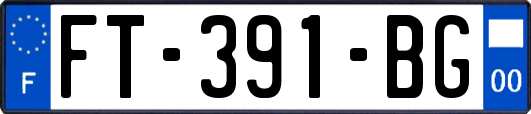 FT-391-BG