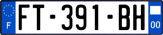 FT-391-BH