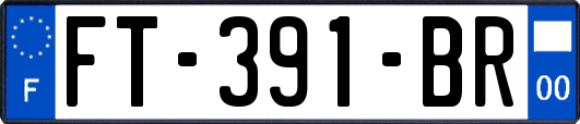 FT-391-BR