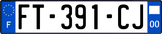 FT-391-CJ