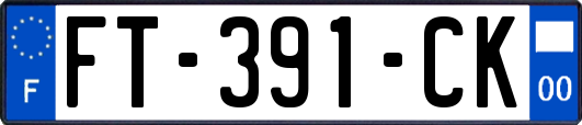 FT-391-CK