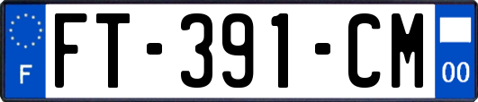 FT-391-CM