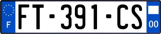 FT-391-CS