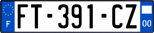 FT-391-CZ