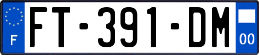 FT-391-DM