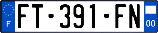 FT-391-FN