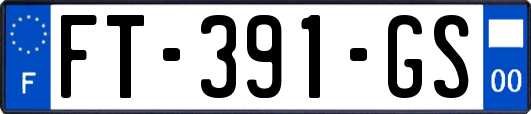 FT-391-GS