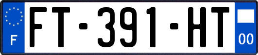 FT-391-HT