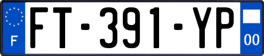 FT-391-YP