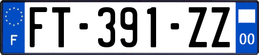 FT-391-ZZ