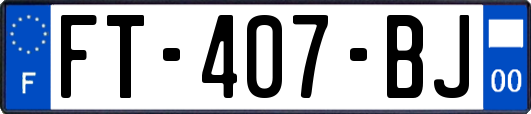 FT-407-BJ