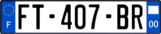 FT-407-BR