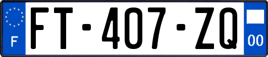 FT-407-ZQ