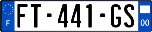 FT-441-GS