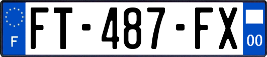 FT-487-FX