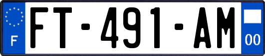 FT-491-AM